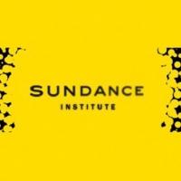 Branden Jacobs-Jenkins Receives Sundance's Tennessee Williams Award Video