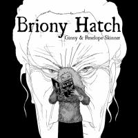 Ginny & Penelope Skinner Release Young Adult Graphic Novel, 'Briony Hatch' Video