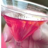 Sip and View IMAGINARY WORLDS With 'Cocktails in the Garden', at the Atlanta Botanica