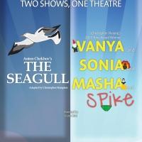 THE SEAGULL Runs Now thru 3/28 at Playhouse on the Square Video