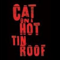 Austin Pendleton Helms Mississippi Mud's CAT ON A HOT TIN ROOF, Now thru 11/17 Video