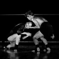 Tickets on Sale Today for Northrop Theatre's 2013-14 Dance Season Video