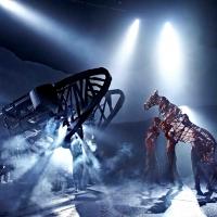 WAR HORSE Makes South African Premiere, October 22 Video