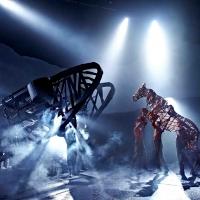 WAR HORSE Makes South African Premiere, October 22