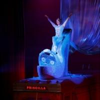 PRISCILLA QUEEN OF THE DESERT Coming to the Adrienne Arsht Center, 4/2-7 Video