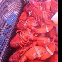 Southern California's Largest Shrimp Market San Pedro Fish Market Featured on Media R