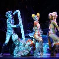 Photo Flash: First Look at Kenneth Prymus, Jennifer Shrader and More in NCT's CATS Video