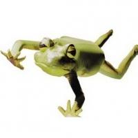 FROGZ Sets $5 Dress Rehearsals - Oct 29 and 30