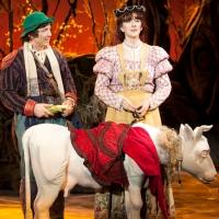 BWW Reviews: Wishes Come True in 3-D Theatricals' INTO THE WOODS Video