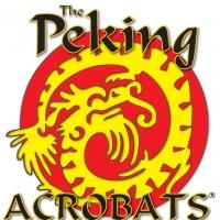 Kentucky Center to Welcome Peking Acrobats, 2/13 Video