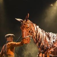 BWW Reviews: Brilliant WAR HORSE Returns to Los Angeles at the Pantages for One Week  Video
