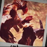 Profiles to Continue 25th Anniversary Season with COCK, 2/14-4/6
