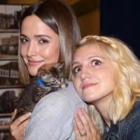 Photo Coverage: Calling All Kitties! YOU CAN'T TAKE IT WITH YOU Holds Feline Auditions