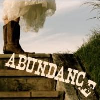 Designers Wilson Chin, Tracey Christensen and More Join Hartford Stage's ABUNDANCE Cr Video
