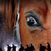 Tickets to WAR HORSE's Run at Marcus Center on Sale 10/16 Video