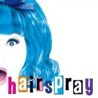 HAIRSPRAY, GUYS & DOLLS, GODSPELL Revival & More Now Available on Scene Partner Video