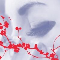 North Carolina Opera Reveals New Season - MADAMA BUTTERFLY, THE BARBER OF SEVILLE &…