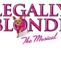 Florida Rep Announces the Opening of LEGALLY BLONDE, THE MUSICAL, 5/31 Video