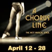 Chryssie Whitehead, Chuck Saculla and More to Star in Musical Theatre West's A CHORUS Video