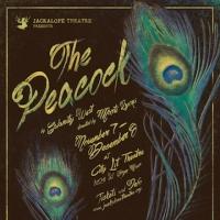 Jackalope Theatre Company to Present THE PEACOCK, 11/7-12/8 Video