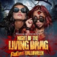 Snooki, JWOWW, Sharon Needles & More Set for Brandon Voss' Halloween Celebration NIGH Video