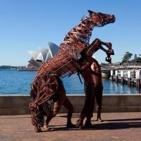 Photo Flash: WAR HORSE's Joey Visits the UK, US, Germany and Australia