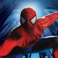 Official Statement: SPIDER-MAN Actor Remains in Hospital; Show to Resume Tonight Video