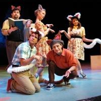 STUART LITTLE Plays Orpheum Theatre Today