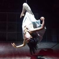 Above and Beyond Dance presents DREAMSCAPES, Now thru 9/21 Video