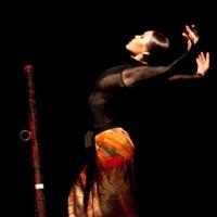 Baryshnikov Arts Center to Present Rocio Molina and Rosario 'La Tremendita' in US…