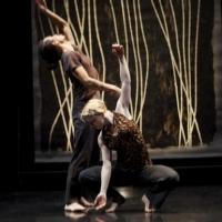 Photo Flash: First Look at Peggy Baker Dance Projects' STEREOPHONIC in Toronto Video