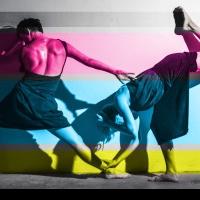 hcl and CDF partner on 'Cultural Conversations' about Dance and Dramaturgy on 5/9 Video