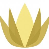 Open Stage to Honor Patty Kim, Tara Leo Auchey, Sharia Benn & Joy Dougherty as 'Women