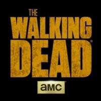 THE WALKING DEAD Executive Producer Talks Season 6 and Spin-Off, FEAR Video