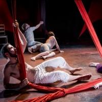 Photo Flash: First Look at Walkabout Theater's THE WILD at Steppenwolf Video