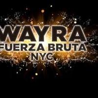FUERZA BRUTA WAYRA Premieres Tonight at Daryl Roth Theatre Video