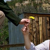 BWW Reviews: Theatreworks' AS YOU LIKE IT - A Rustic Revel in Rock Ledge Video