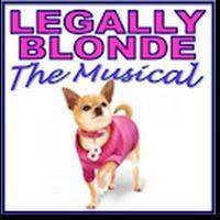 MIT Musical Theatre Guild Calls for Run Crew, Spot Ops, & Ushers for LEGALLY BLONDE T Video