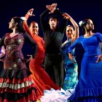 Premier Flamenco & Spanish Dance Company Perform at The Alden in McLean Tonight Video