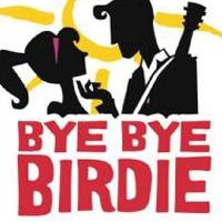 BWW Reviews: Candlelight Pavilion Brings Back the 50s with BYE BYE BIRDIE Video
