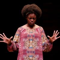 Photo Flash: Shaila Essley Takes 1st Place in CTG's 2015 August Wilson Monologue Comp Video