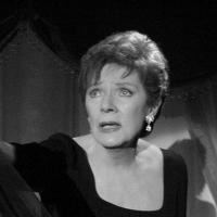 BWW Exclusive: Richard Jay-Alexander Remembers Polly Bergen with Memories & Never Before Seen Personal Photos