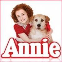 ANNIE and Pedrigree Raise Over $1 Million to Help Dogs Find Homes