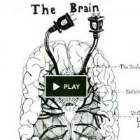 Debut Novel Goes Live on Kickstarter; Beauty Tips for the Bereaved by Sunny Haralson