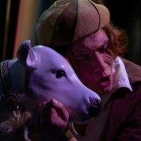 BWW Reviews: INTO THE WOODS at Ignite Productions - Loveable Mayhem in the Woods