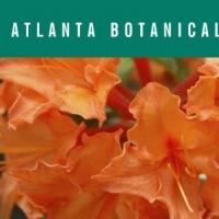Atlanta Botanical Garden Leads 30th Annual GARDENS FOR CONNOISSEURS TOUR This Weekend
