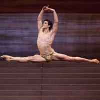 BWW Reviews: Roberto Bolle And Friends Gala