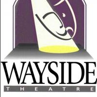 Middletown's Wayside Theatre to Highlight Local Teens in THE TEMPEST, 4/19-20 Video