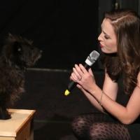 BWW TV: Broadway Goes to the Dogs- Watch Highlights from BEST IN SHOWS Benefit, with  Video