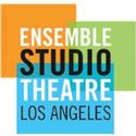 LA's Ensemble Studio Theatre Will Present THE FISHERMAN’S WIFE and DOESN’T ANYONE Video